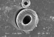 Mono-hollow Particle Cross Section Photo