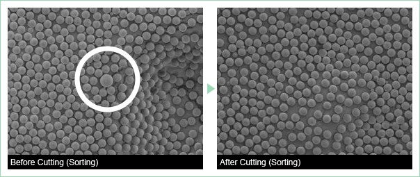 Before Cutting (Sorting)/After Cutting (Sorting)