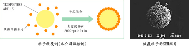 粒子被覆例(本公司试验例)、被覆粒子的SEM照片