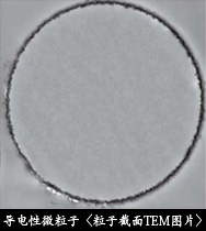 导电性微粒子〈粒子截面TEM图片〉