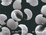 Asphärische Partikel in monodisperser Verteilung