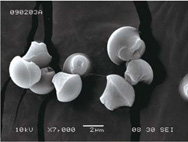 Asphärische Partikel in monodisperser Verteilung