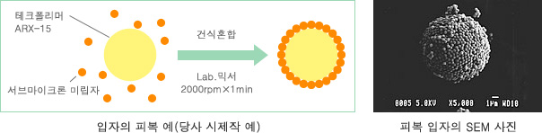 입자의 피복 예(당사 시제작 예)・피복 입자의 SEM 사진