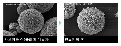 부착성